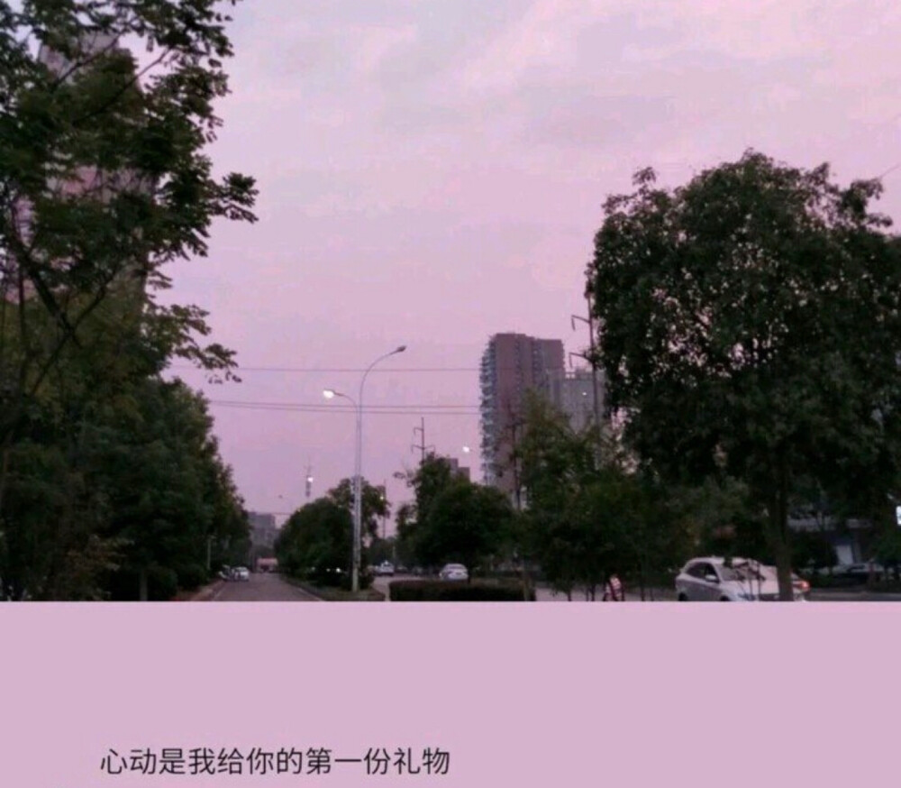 喜欢的人是海面的灯塔
不要去等谁 所有的不期而遇都在路上