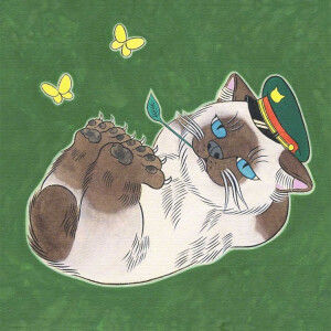 猫妖 猫插画 ~ 画师石黑亚矢子作品 