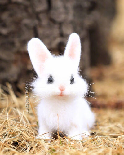 小兔子，白又白，两只耳朵竖起来。