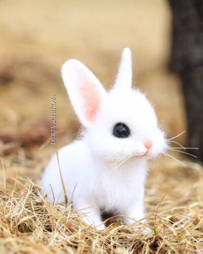 小兔子，白又白，两只耳朵竖起来。