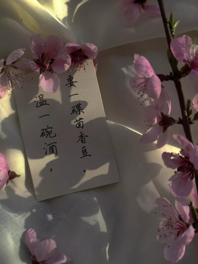 “温一碗酒，要一碟茴香豆。”
手写/摆拍/文案/举牌
字：堆糖.白1酒客