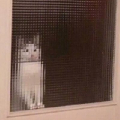 情头 女♀ 小喵 马赛克 搞怪