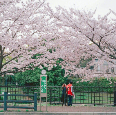 【原创】武陵春（八庚平声）
浪涌涛声雷电响，
阵雨降青城。两岸荷花岁月明，景色也传情。
早起游人微步看，滑桨荡舟轻。
但见渔家撒网盈，不负五更惊。
画堂春（一先平声）
小舟滑桨过江天，码头摆渡行船。
岸堤…