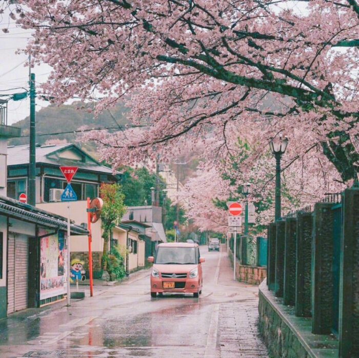 【原创】武陵春（八庚平声）
浪涌涛声雷电响，
阵雨降青城。两岸荷花岁月明，景色也传情。
早起游人微步看，滑桨荡舟轻。
但见渔家撒网盈，不负五更惊。
画堂春（一先平声）
小舟滑桨过江天，码头摆渡行船。
岸堤垂钓坐溪边，辰起晴欢。
野鹤起飞啼叫，鸳鸯戏水留连。
夏盈百鸟结缘，此线谁牵。
清平乐（十四寒平声）
雾晴观看，野鹤闲云唤。
时落江边阳光灿，巢筑苇塘靠岸。
两岸柳绿欣欢，万朵茉莉奇观。
百合飘香蕊放 ，争奇斗艳梅兰。
西江月（五歌平声）
百卉枝头争艳，万花开放欢歌。小溪流淌绕山坡 ，荷伞青蛙跃过。
野鹤苇塘飞落，
鸳鸯戏水游河。狂风暴雨浪涛多，
正是春光伴我。
文/李文革
2020.4.25（@一诗一文 ） #诗词# #春天