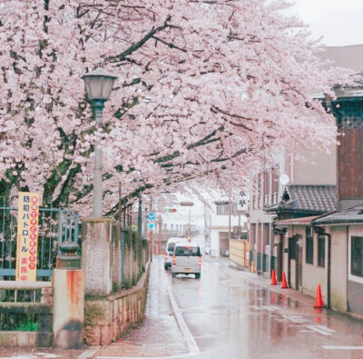 【原创】武陵春（八庚平声）
浪涌涛声雷电响，
阵雨降青城。两岸荷花岁月明，景色也传情。
早起游人微步看，滑桨荡舟轻。
但见渔家撒网盈，不负五更惊。
画堂春（一先平声）
小舟滑桨过江天，码头摆渡行船。
岸堤…