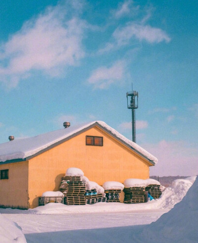 北海道的雪