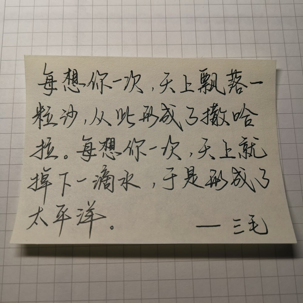 三毛