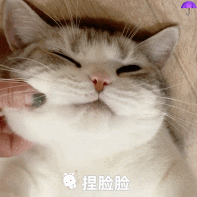 tb雨伞