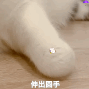 tb雨伞