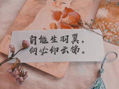 “自能生羽翼，何必仰云梯。”
手写/摆拍/举牌/文案
字：堆糖.白1酒客
可约字
素质拿图，谢