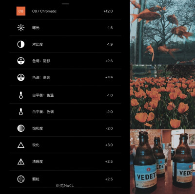 vsco日常高级调色教程合集
摄影@沈NaCl ?