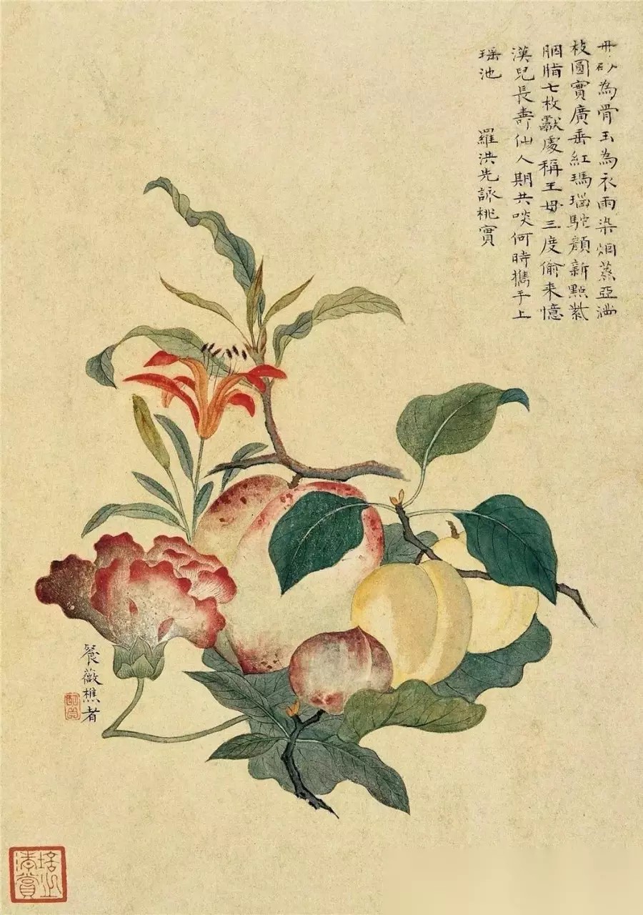 陈明自《花卉册》