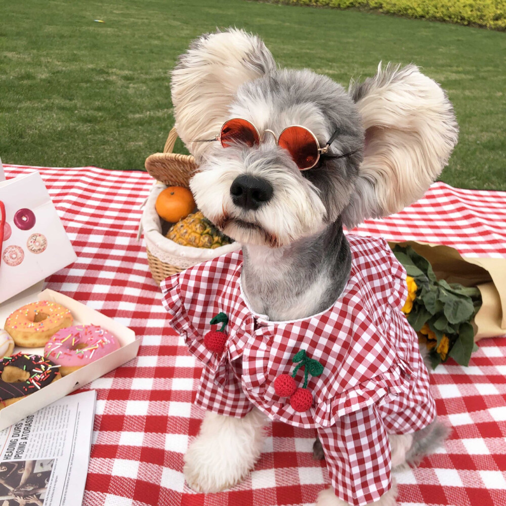 Best Pets网红狗狗红格子衬衫夏季柯基泰迪柴犬高颜值拍照写真服