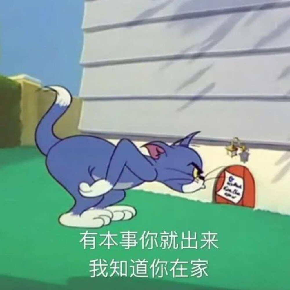 猫和老鼠表情包
沙雕/搞笑/gif动图/微信表情