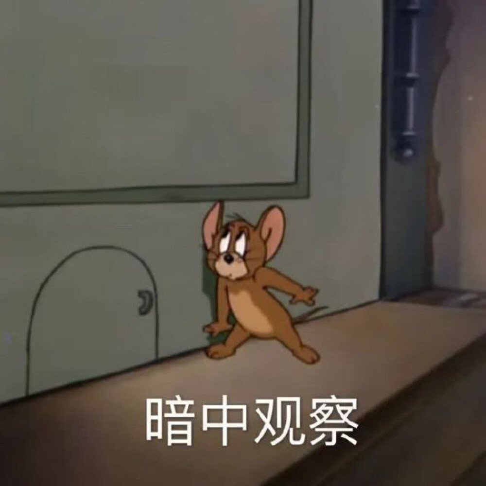 猫和老鼠表情包
沙雕/搞笑/gif动图/微信表情