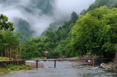 晓来天气便清新，独倚阑干正暮春。早安