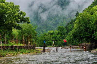 晓来天气便清新，独倚阑干正暮春。早安