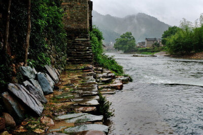 晓来天气便清新，独倚阑干正暮春。早安