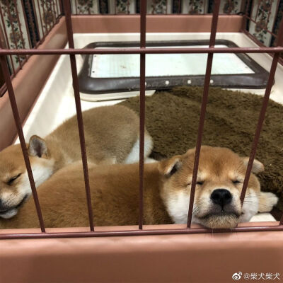 让我guo一下我的小嘴巴 Instagram：mamesukemamepu