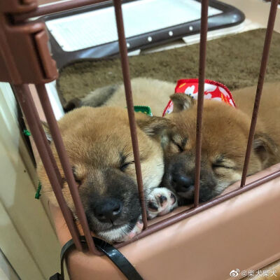 让我guo一下我的小嘴巴 Instagram：mamesukemamepu