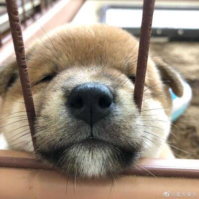 让我guo一下我的小嘴巴 Instagram：mamesukemamepu