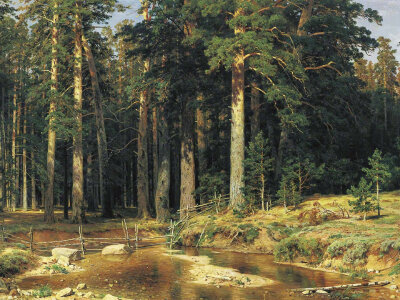 【经典画作】俄国著名现实主义风景画大师 伊凡·伊凡诺维奇·希施金（Ivan I. Shishkin） 绘画作品。