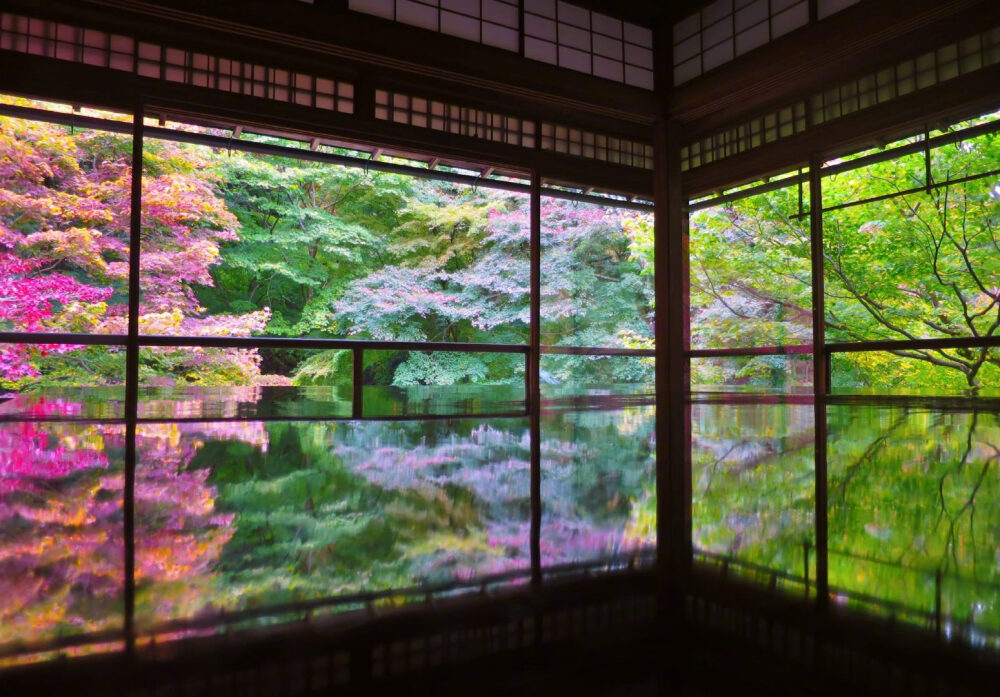 京都琉璃光院的如诗四季。「春有百花秋有月，夏有凉风冬有雪。」