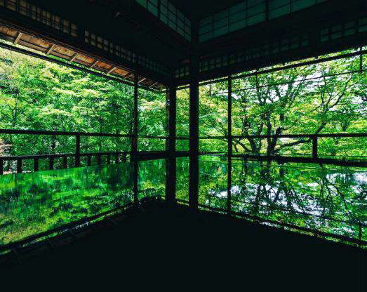 京都琉璃光院的如诗四季。「春有百花秋有月，夏有凉风冬有雪。」