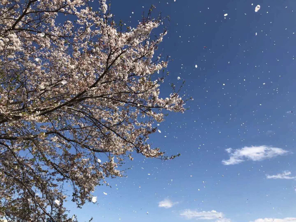 趁风景正好，年华正好，来一场说走就走的旅行