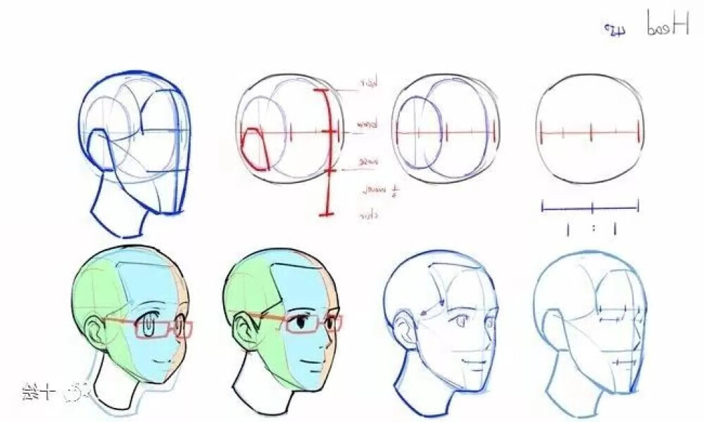 侧脸教程，人体参考，绘画参考