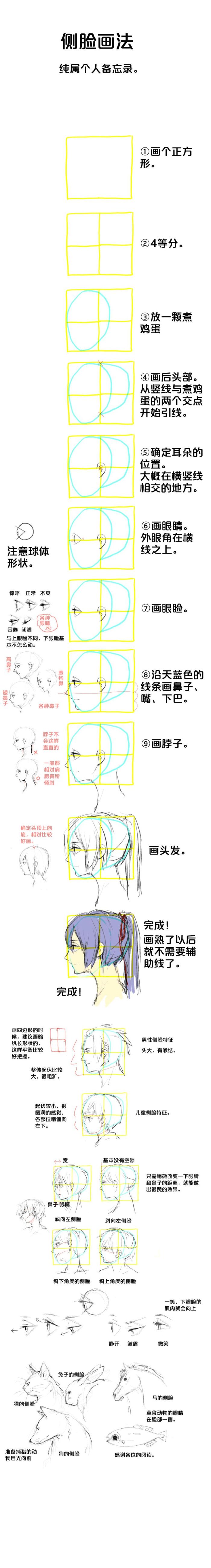 侧脸教程，人体参考，绘画参考