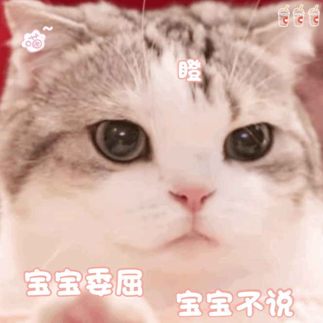 嘟嘟 猫咪表情包