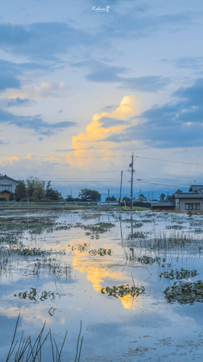 风景壁纸