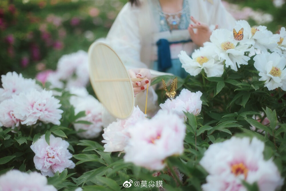 #用相机绘一场梦##古风#
【花神录~牡丹】
何人不爱牡丹花，占断城中好物华。
疑是洛川神女作，千娇万态破朝霞。
摄影&后期&造型:@莫尛貘
出镜&妆面：@-稍麦
原画太太:@长乐nina
服装:@钟灵记汉服 @簪花阁汉服工作室
#天津约拍##北京约拍##汉服摄影##古风写真# 