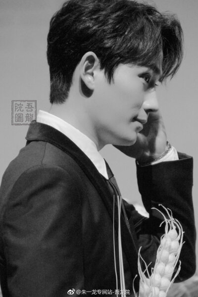 胡杨的夏天发布会