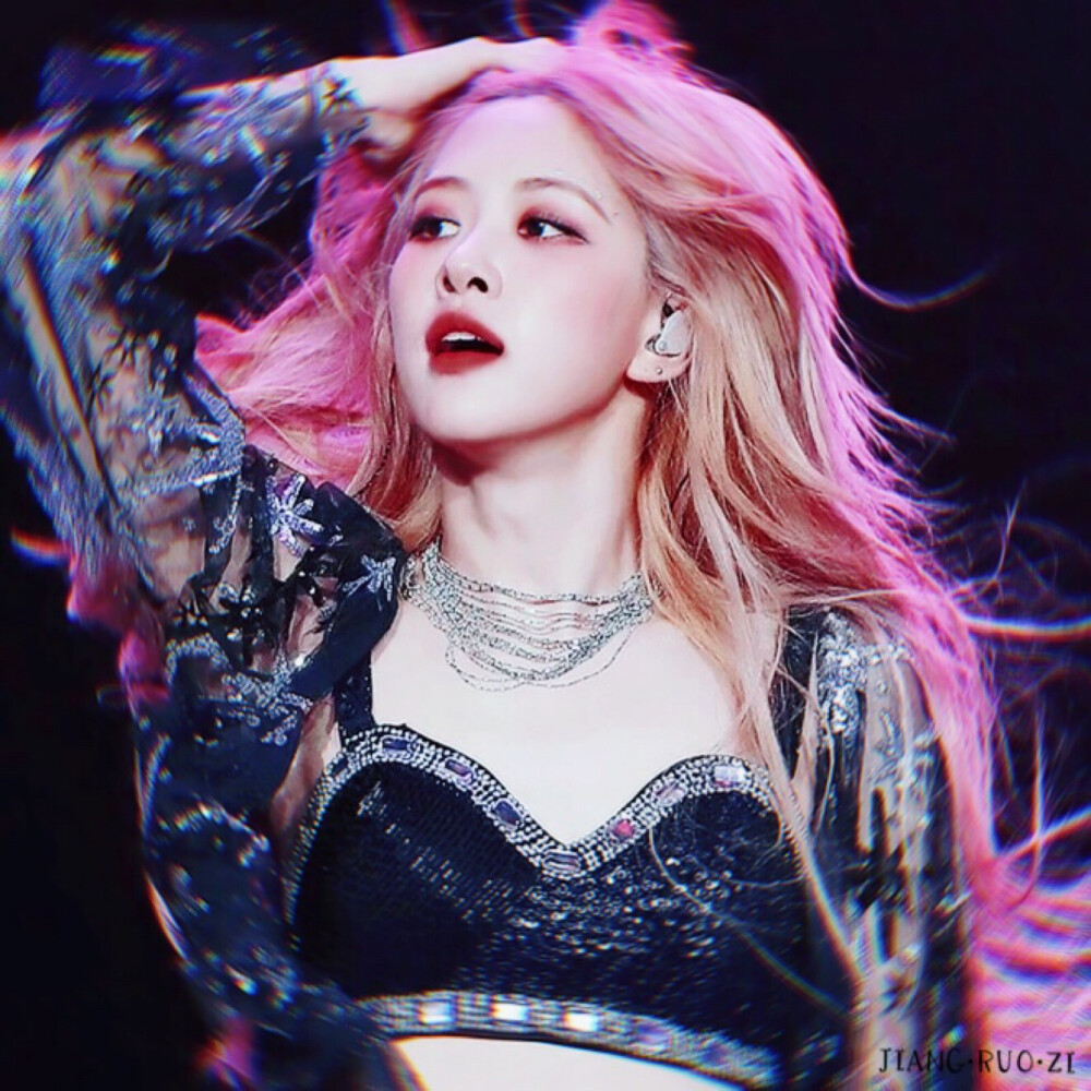 澳洲野玫瑰原firstloverose