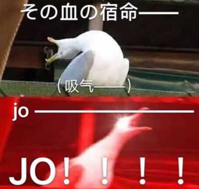 JOOOO——————————JO