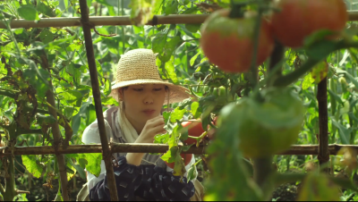 小森林夏秋篇(夏)