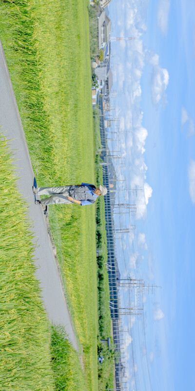 lamo风景壁纸
夏日