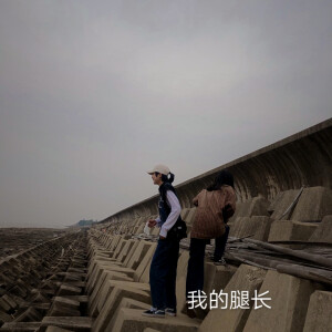 选择你 还是我们