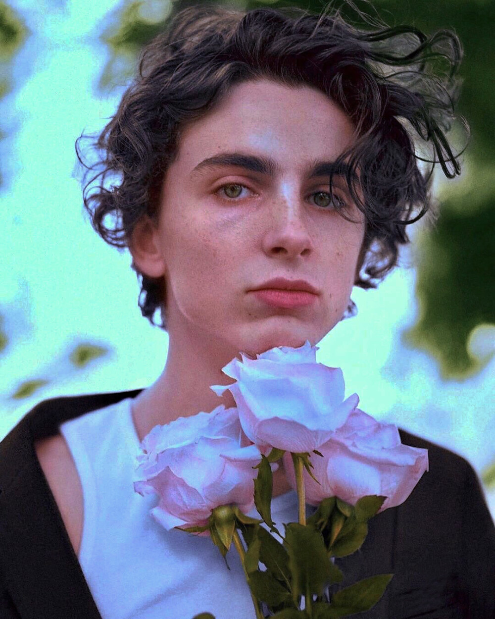 甜茶Timothée Chalamet