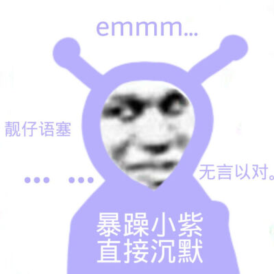 暴躁小紫