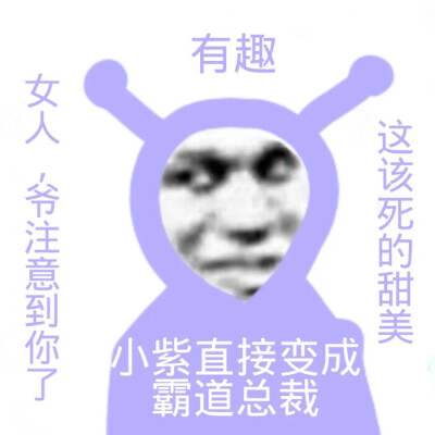 暴躁小紫