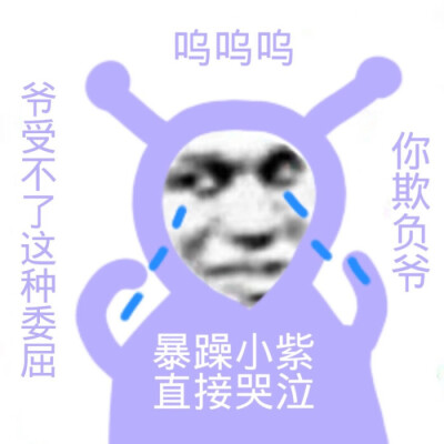 暴躁小紫