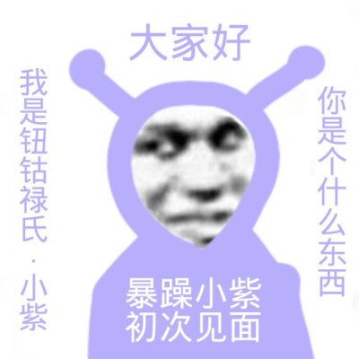 暴躁小紫