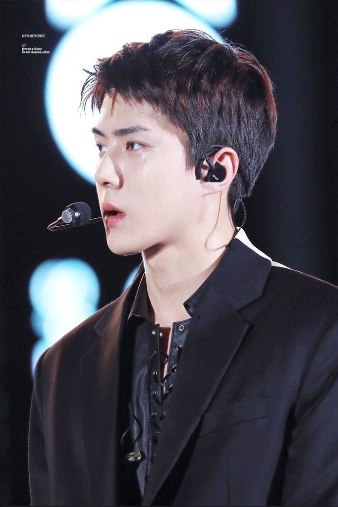 EXO 奶包 sehun 吴世勋 #壁纸 #头像