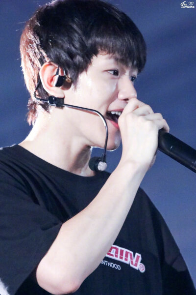 EXO 全世界最好的 啵啵虎 边伯贤 BaekHyun #壁纸 #头像