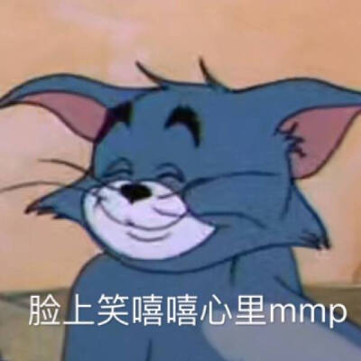 猫和老鼠