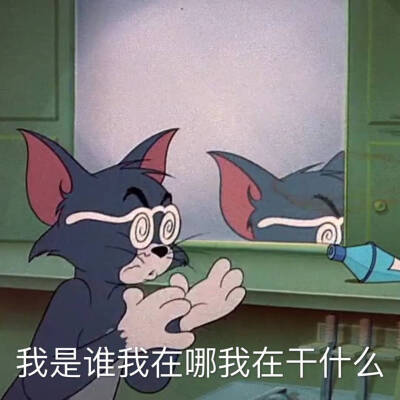 猫和老鼠