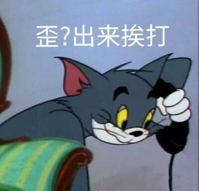 猫和老鼠